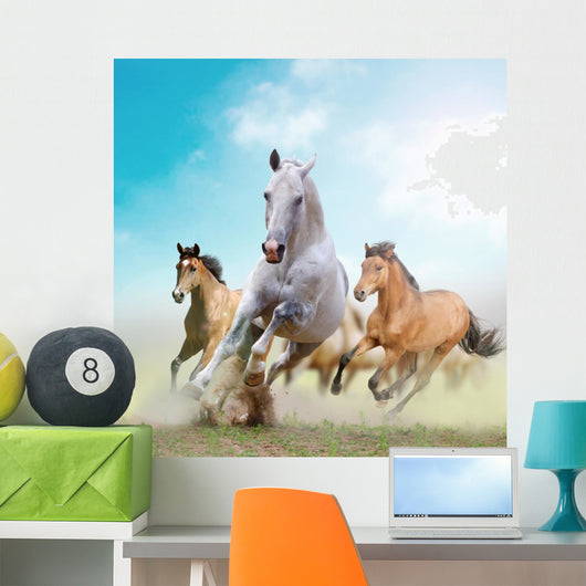 Horses