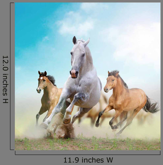 Horses