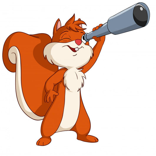 Cute cartoon squirrel looking through a telescope Wall Decal
