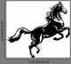 rearing horse black white Wall Decal