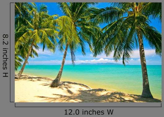 Tropical Beach Koh Samui