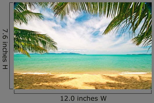 Tropical Beach Chaweng Beach