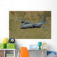 C-130 Hercules Wall Mural