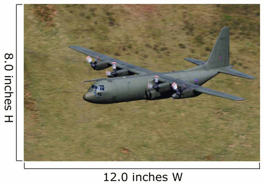 C-130 Hercules Wall Mural