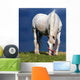 Mold Wall Mural