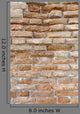 Brick Wall