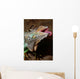 leguan Wall Mural