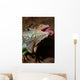 leguan Wall Mural