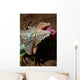 leguan Wall Mural