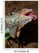 leguan Wall Mural
