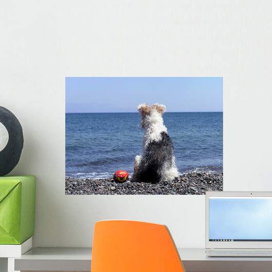 Dog on the Beach Wall Mural