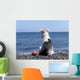 Dog on the Beach Wall Mural