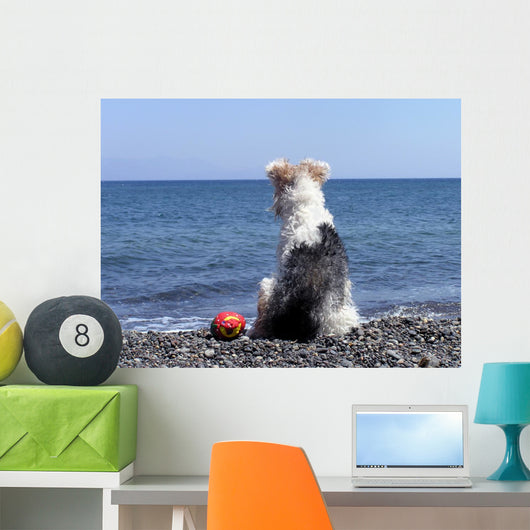 Dog on the Beach Wall Mural