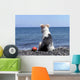 Dog on the Beach Wall Mural
