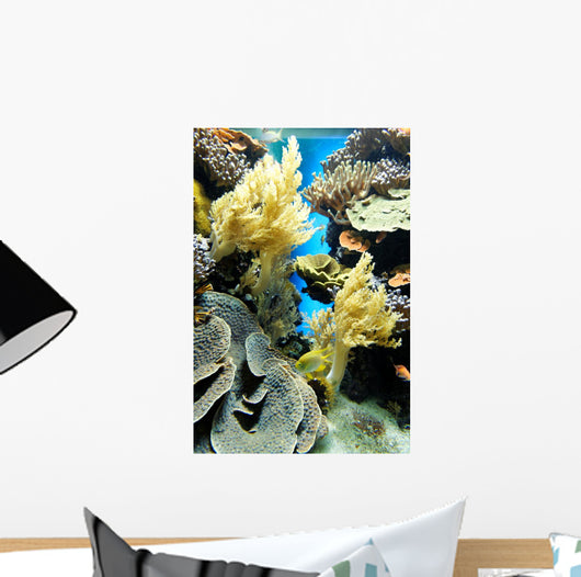 Coral Reef