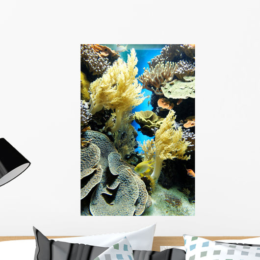 Coral Reef