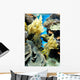 Coral Reef