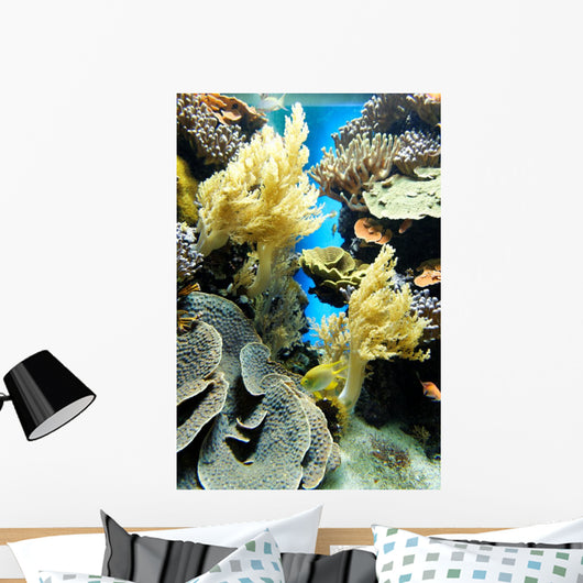 Coral Reef