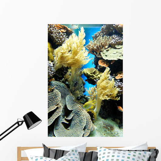 Coral Reef