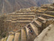 Inca Ruins at Ollantaytambo, Peru Wall Mural