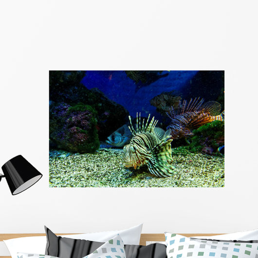 Dangerous Fish