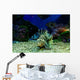 Dangerous Fish