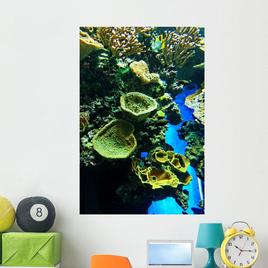 Seabed