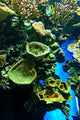 Seabed