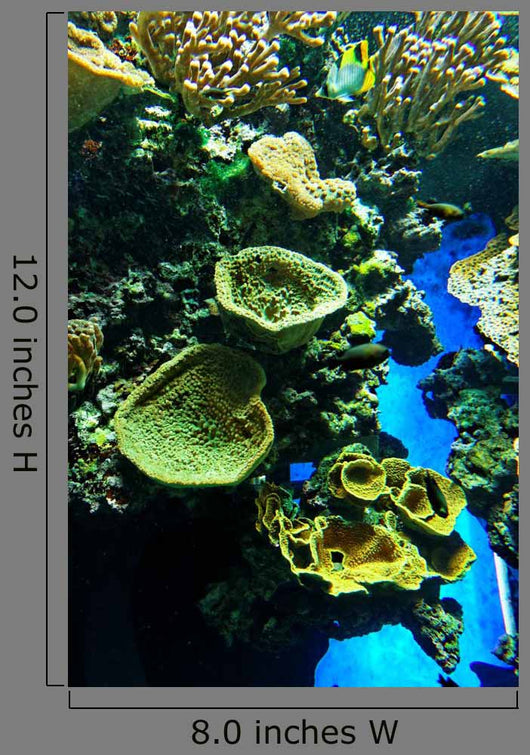 Seabed