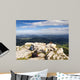 Backpacks Top Mountain and Wall Mural