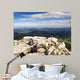 Backpacks Top Mountain and Wall Mural