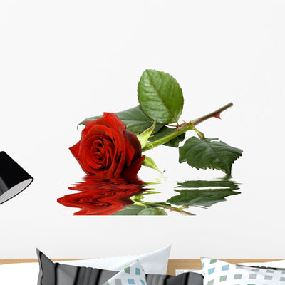 Rose shown on a wall