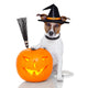 halloween pumpkin witch dog Wall Decal
