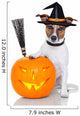 halloween pumpkin witch dog Wall Decal