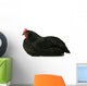 Resting Chicken Wall Decal