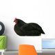 Resting Chicken Wall Decal