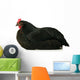 Resting Chicken Wall Decal