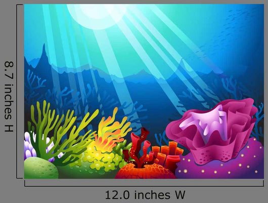 Seaweed and Sunbeam