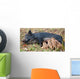 Wild Pig Feeding Her Piglets Wall Mural