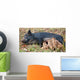 Wild Pig Feeding Her Piglets Wall Mural