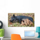 Wild Pig Feeding Her Piglets Wall Mural
