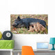 Wild Pig Feeding Her Piglets Wall Mural