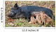 Wild Pig Feeding Her Piglets Wall Mural