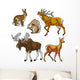 Set Forest Animals
