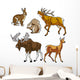 Set Forest Animals