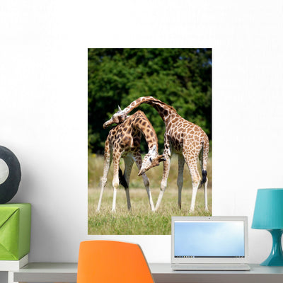 Giraffes shown on a wall