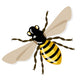 Vector honey bee, illustration Wall Decal