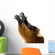 Red Ruffed Lemur Wall Decal