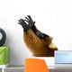 Red Ruffed Lemur Wall Decal