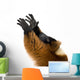 Red Ruffed Lemur Wall Decal